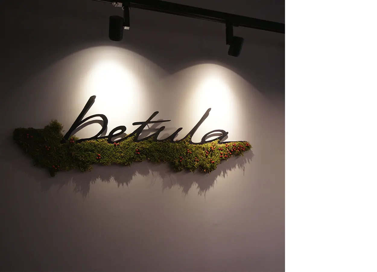 Betula | About Us