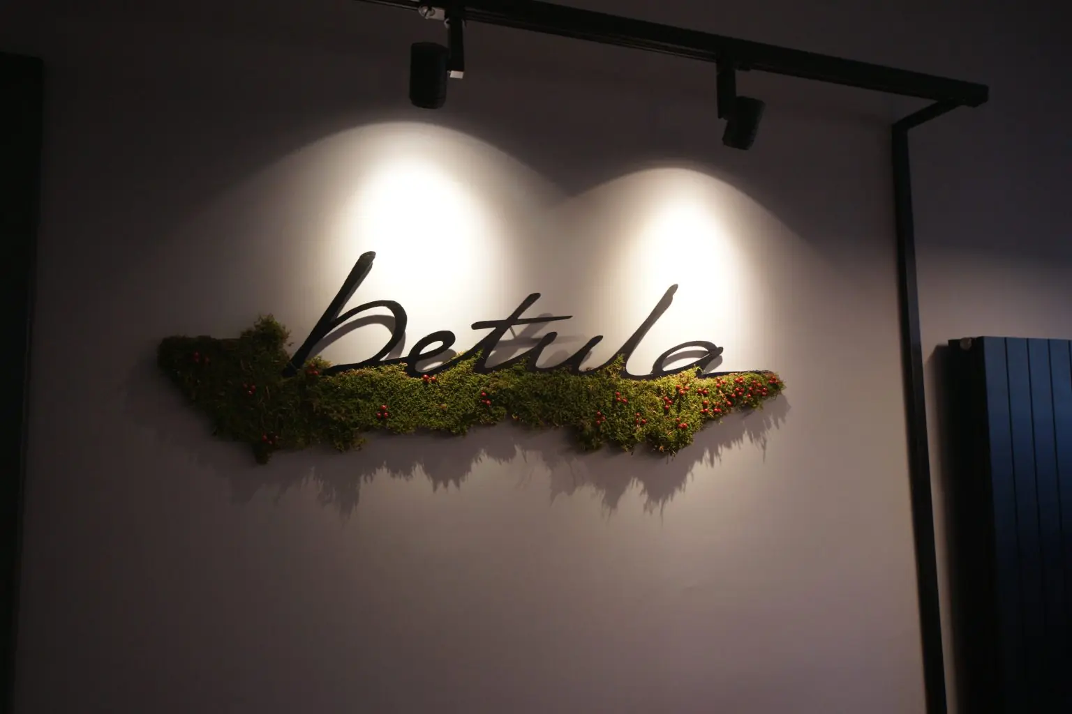 Betula | About Us