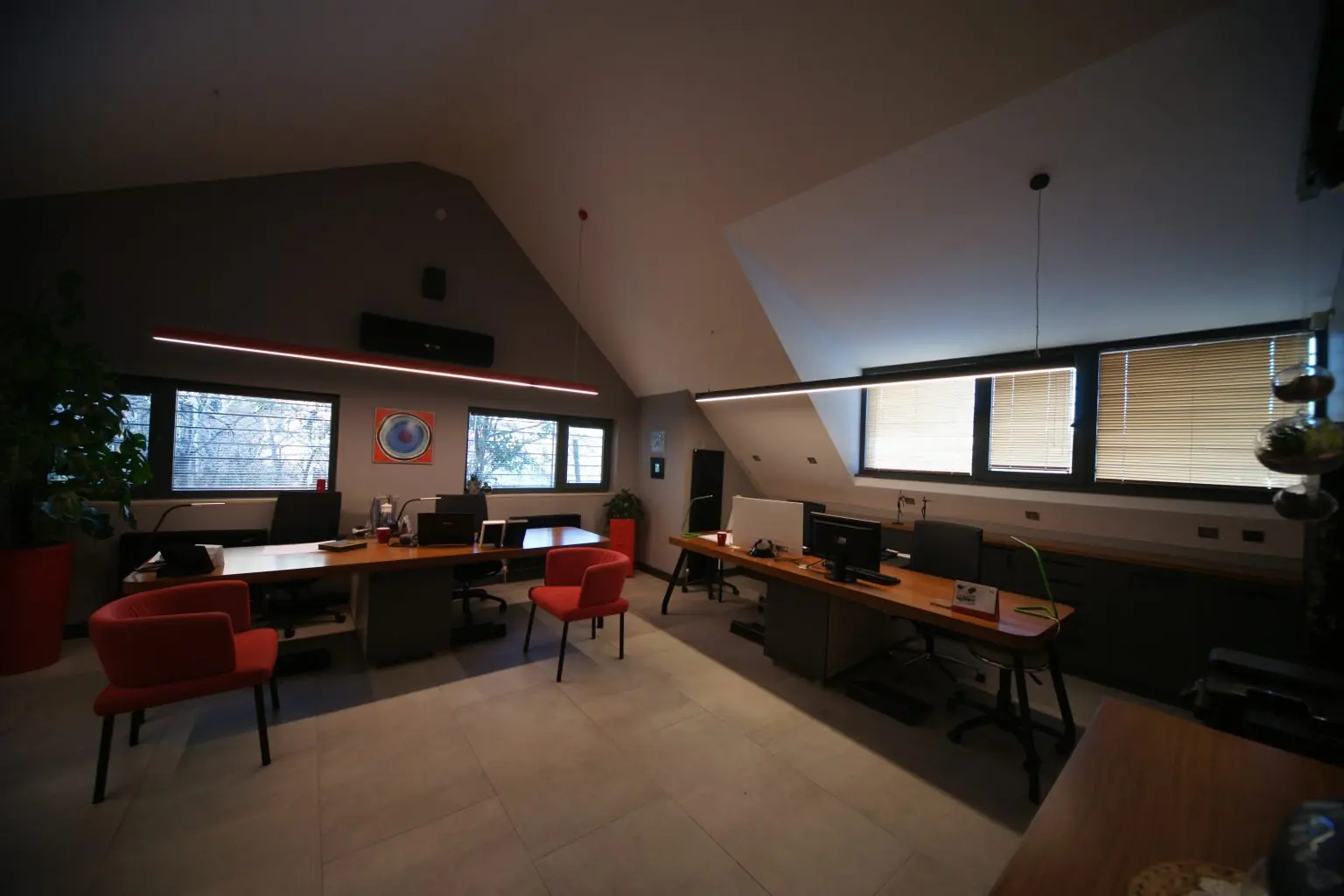 Betula | About Us