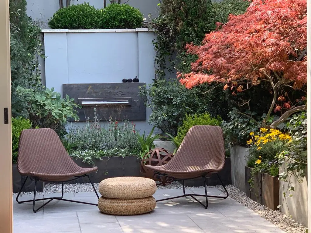 Betula | About Us