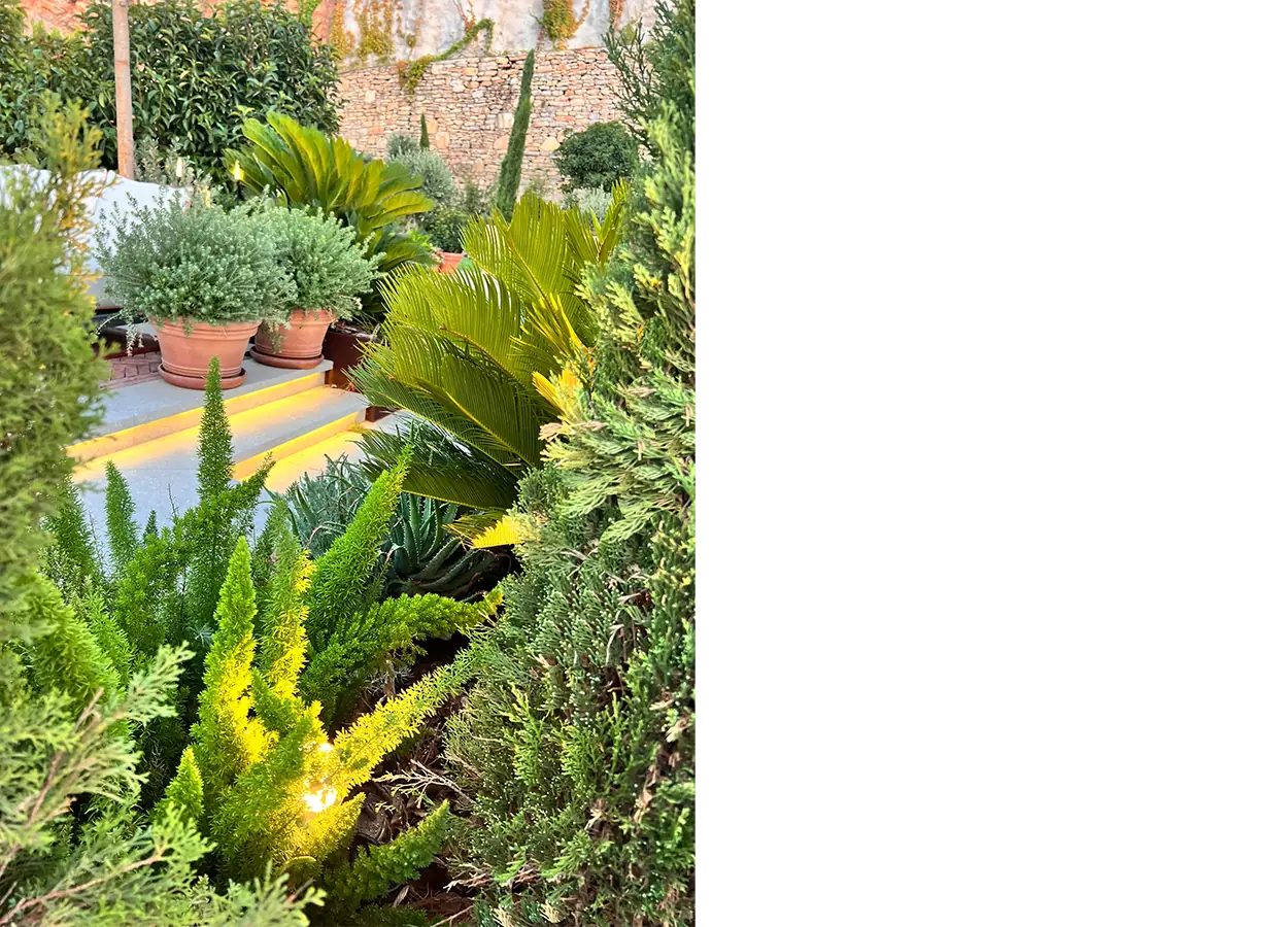 Betula | Seba Golkoy | FGC | House