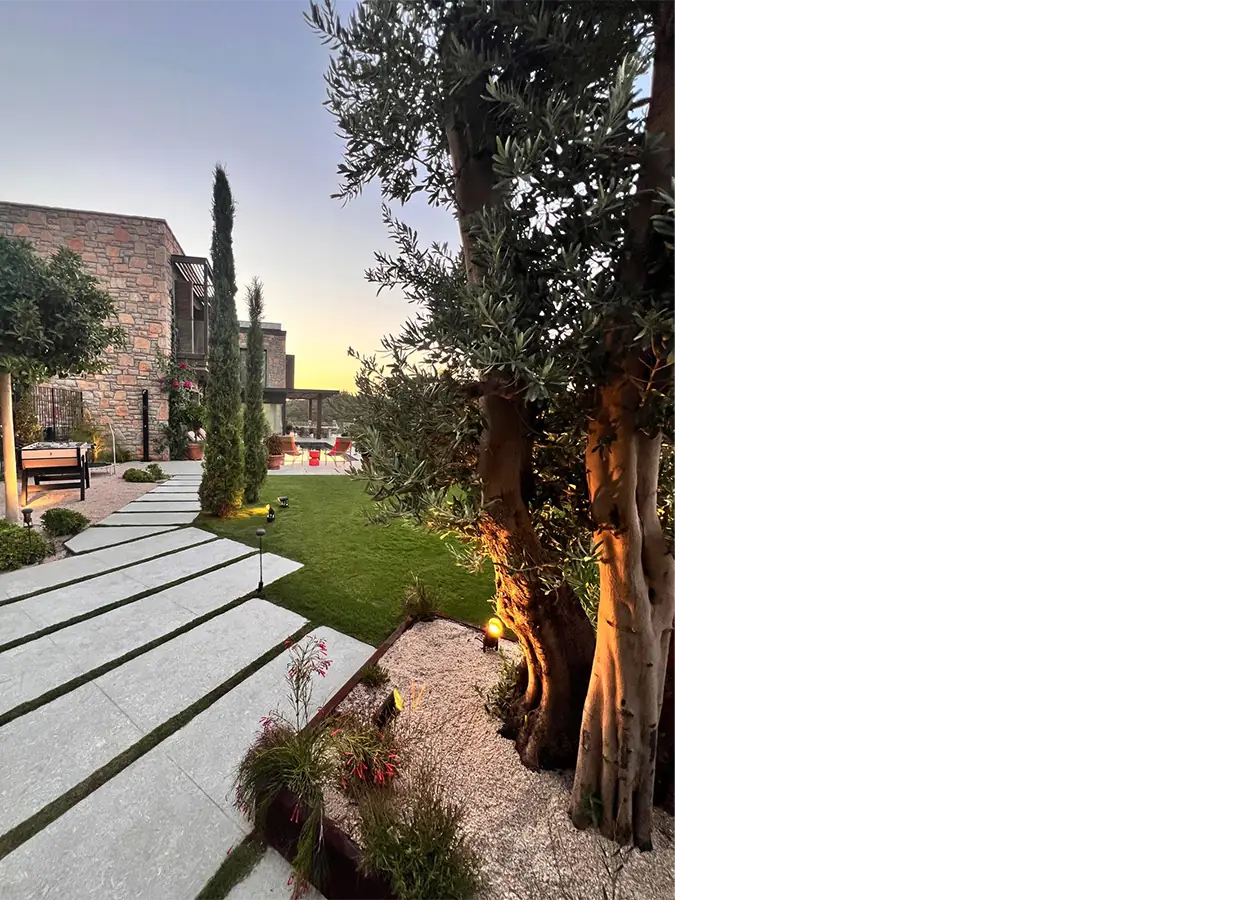 Betula | Seba Golkoy | FGC | House