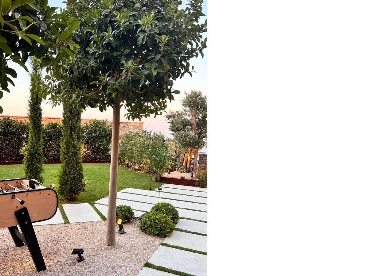Betula | Seba Golkoy | FGC | House