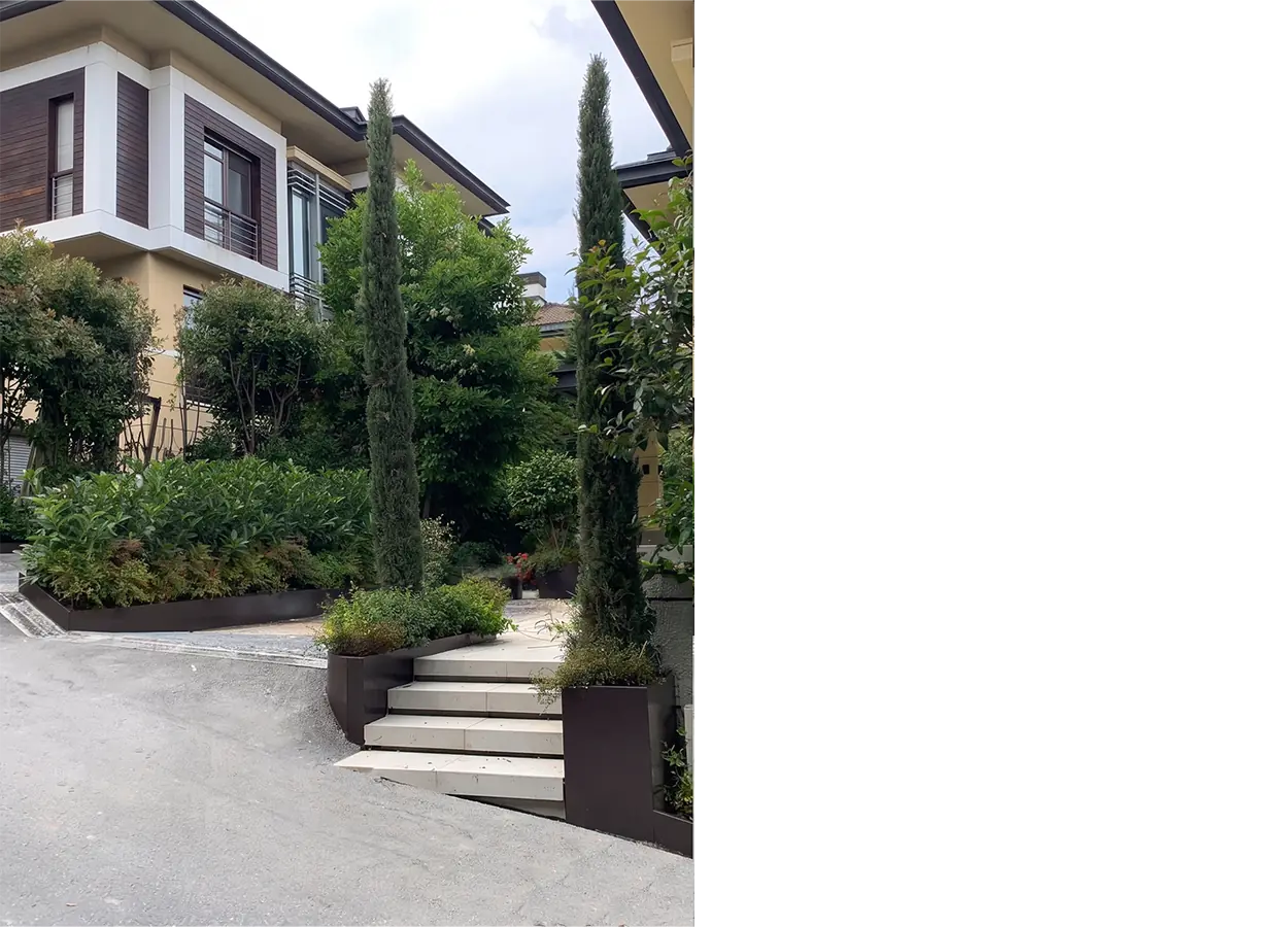 Betula | Seba Royal |OEB| House