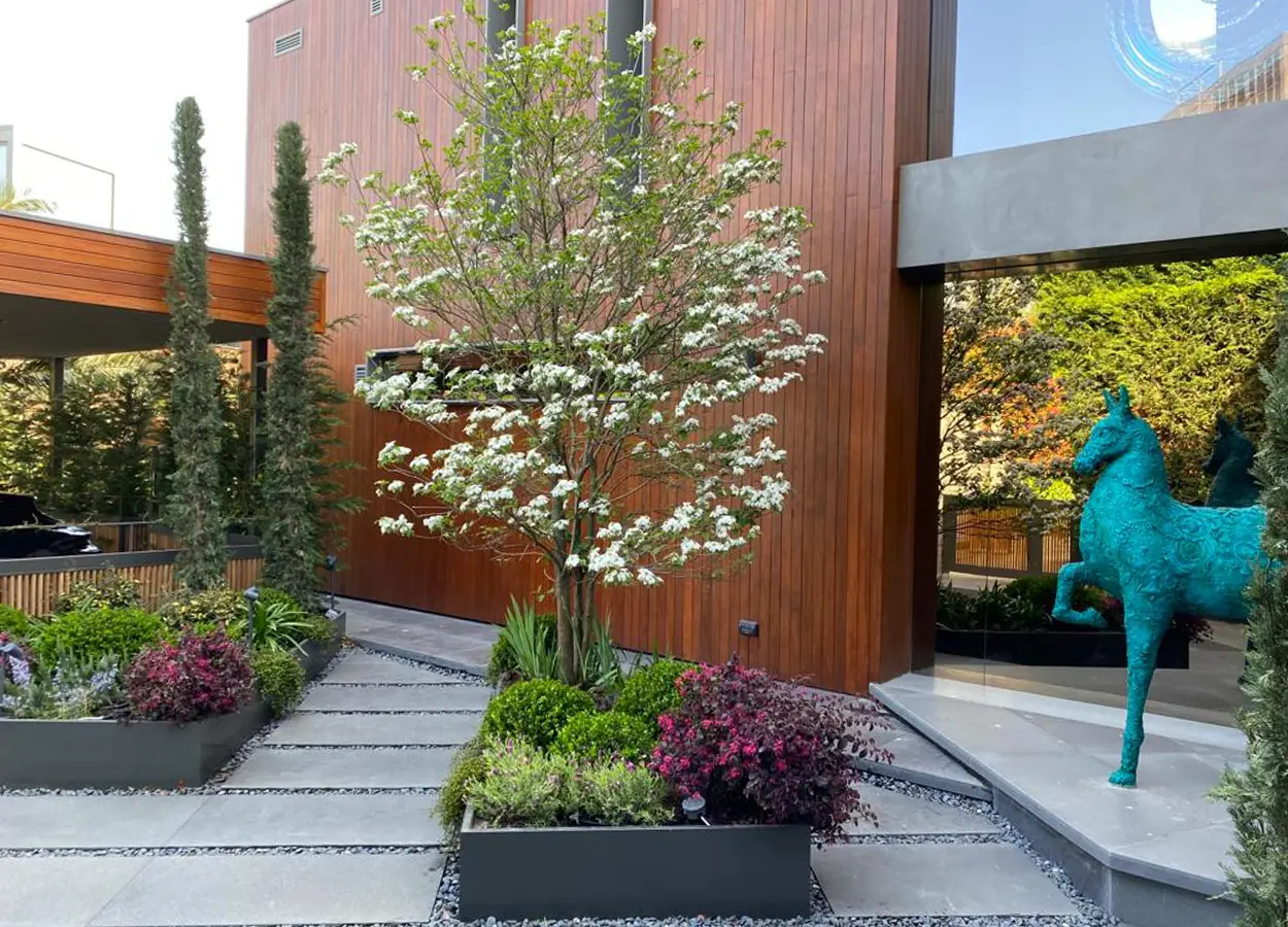 Betula | Çubuklu Vadi |GGÇ| Evi