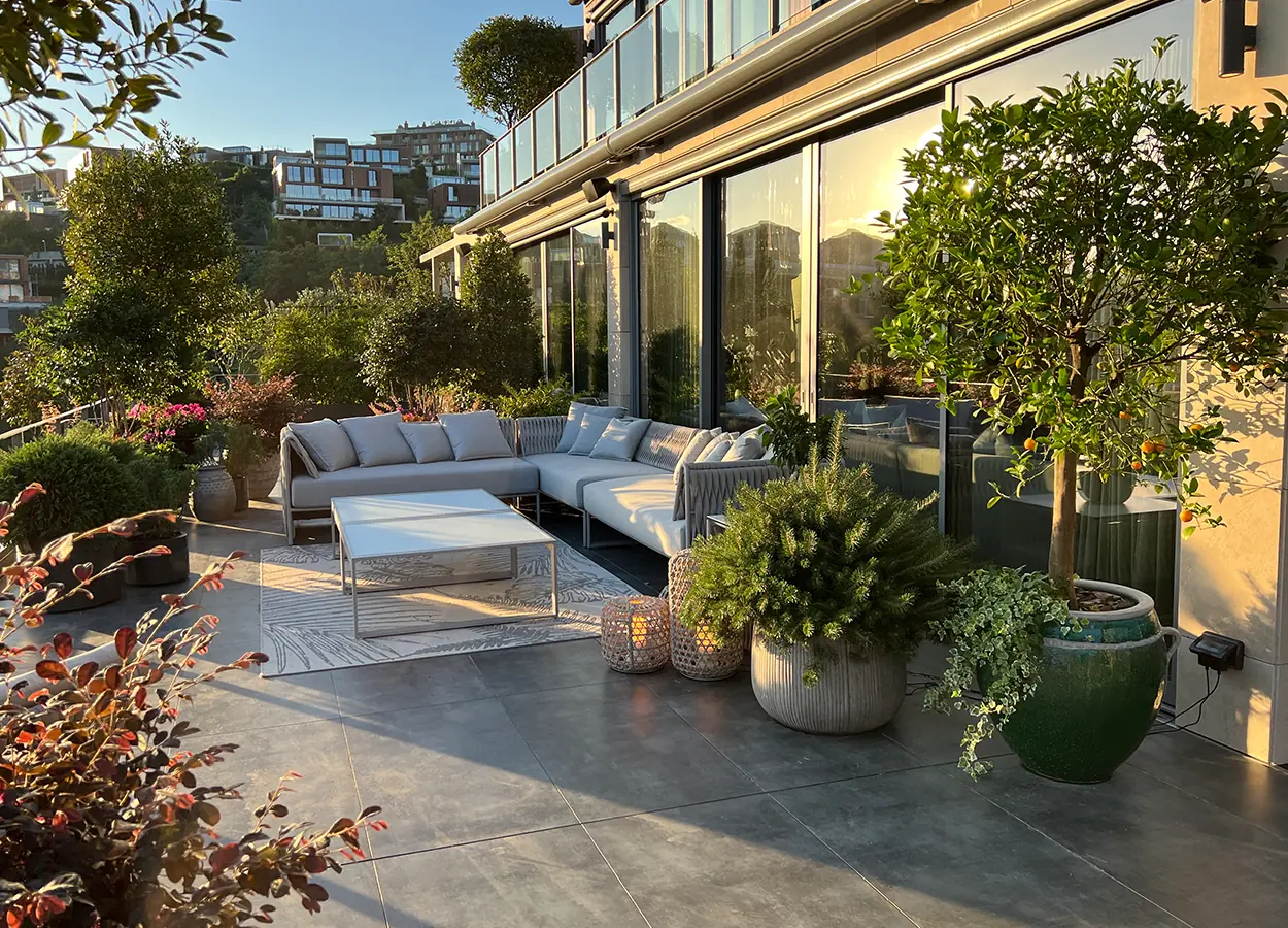 Betula | Çubuklu Vadi |GGÇ| Evi
