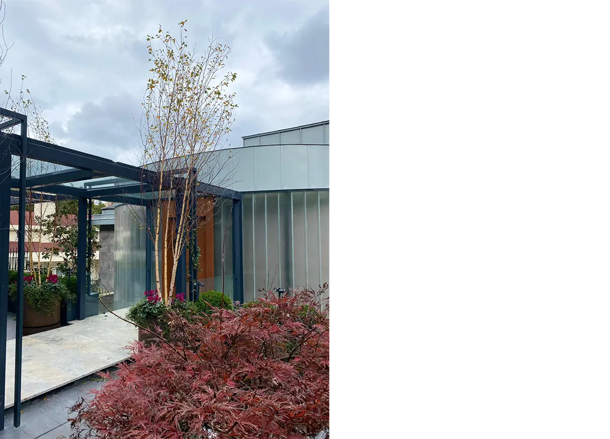 Betula | Emirgan |EYB| Evi