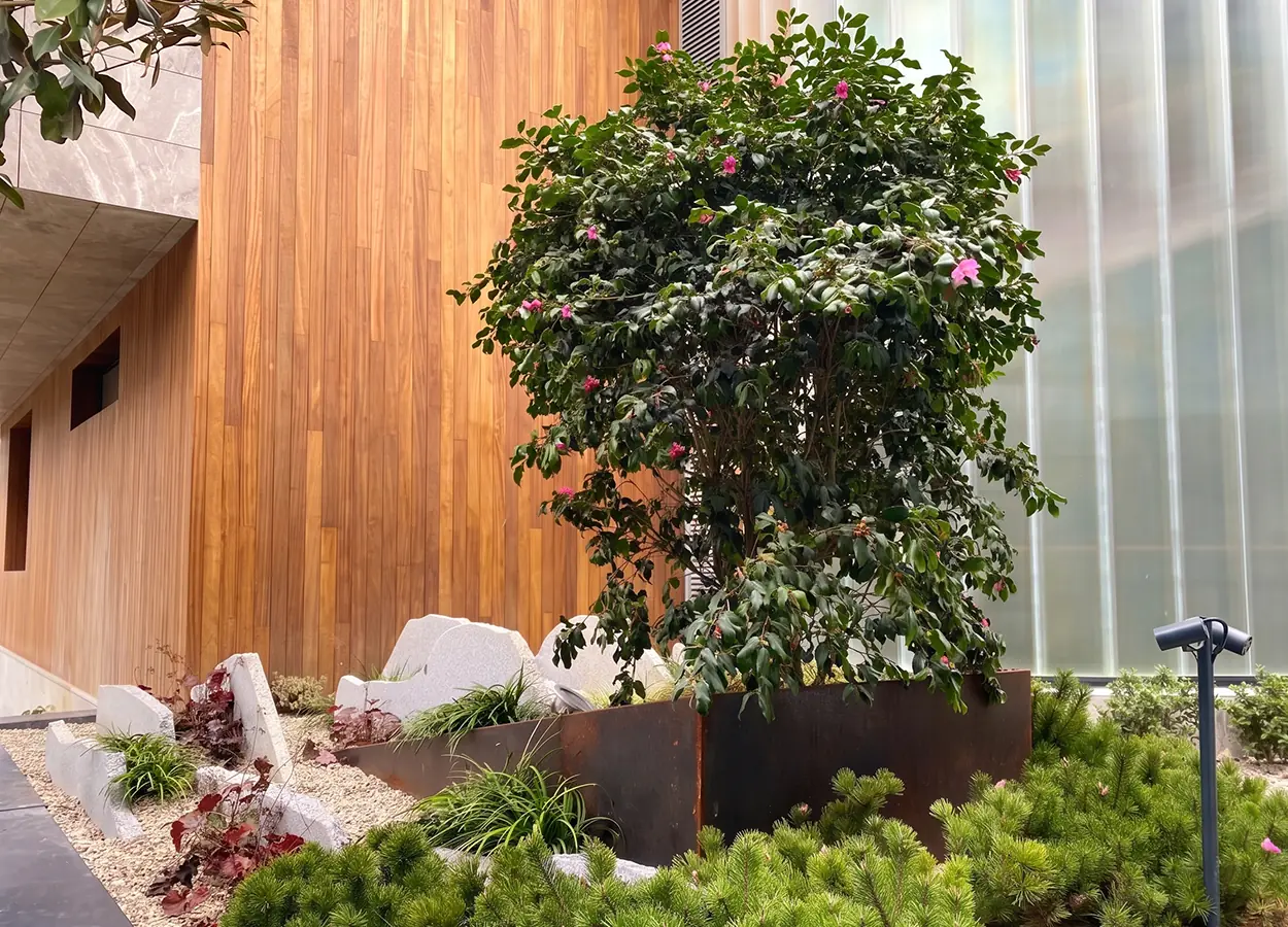 Betula | Emirgan |EYB| Evi