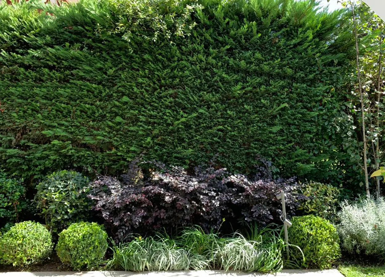 Betula | Kemerburgaz |HN| House