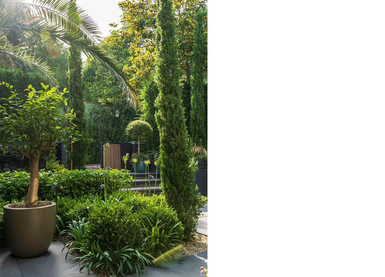Betula | İstinye |SRZ| Evi