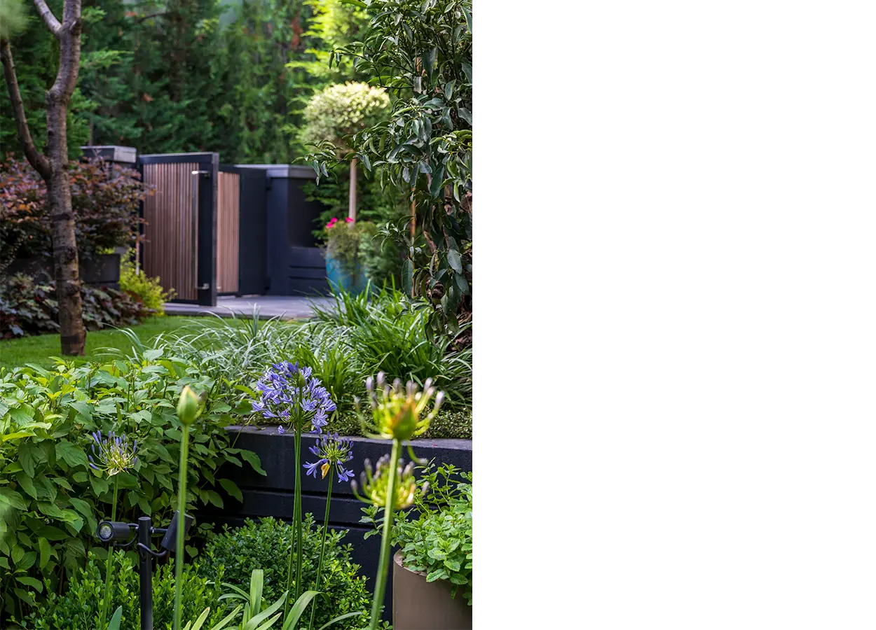 Betula | İstinye |SRZ| Evi