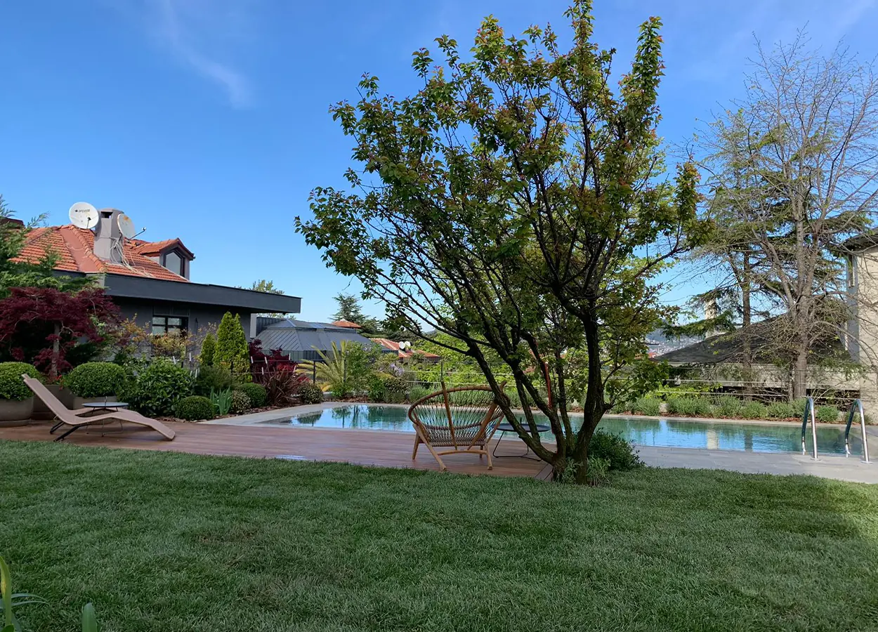 Betula | Istinye |SRZ| House