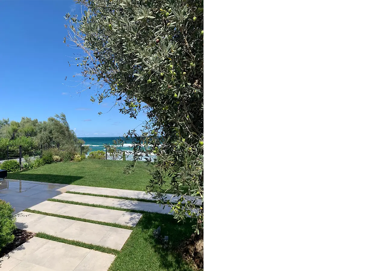 Betula | Kısırkaya |KO| Evi