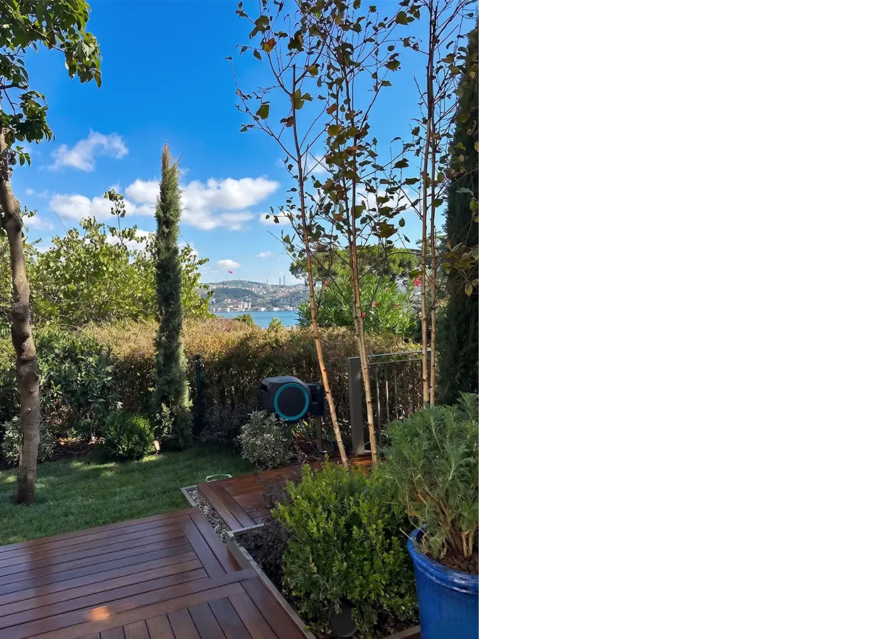 Betula | Naile Sultan |KO| House
