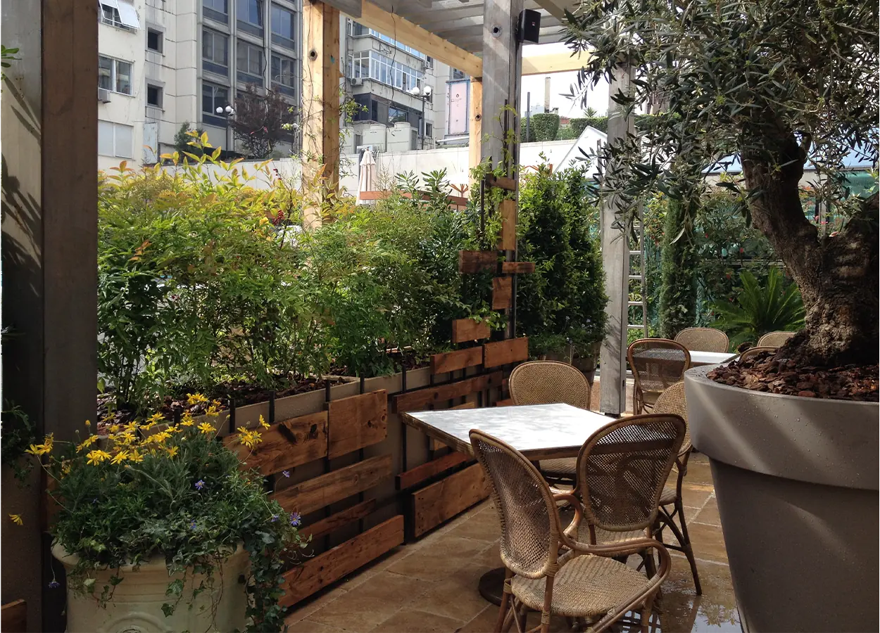 Betula | La Petite Maison