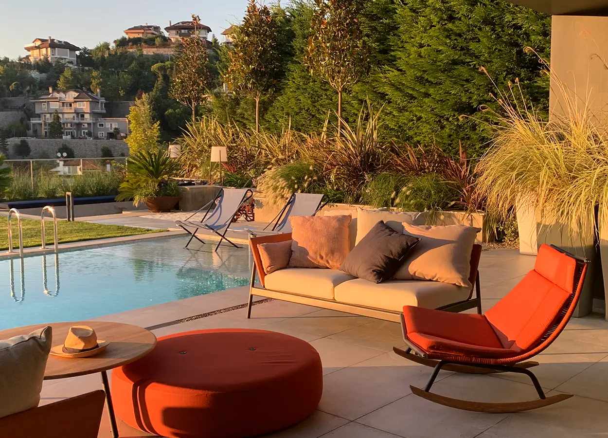 Betula | Acarkent |MK| Evi