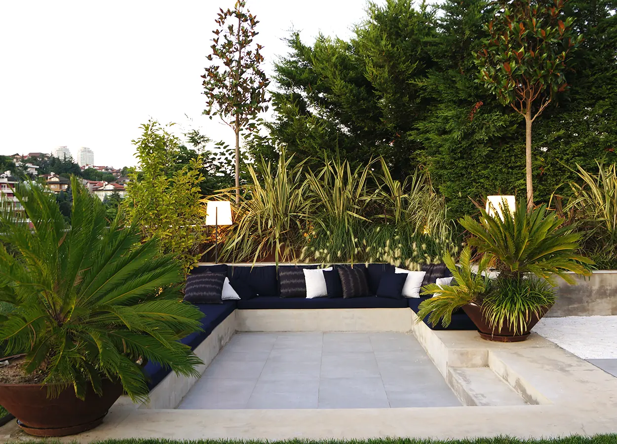 Betula | Acarkent |MK| Evi