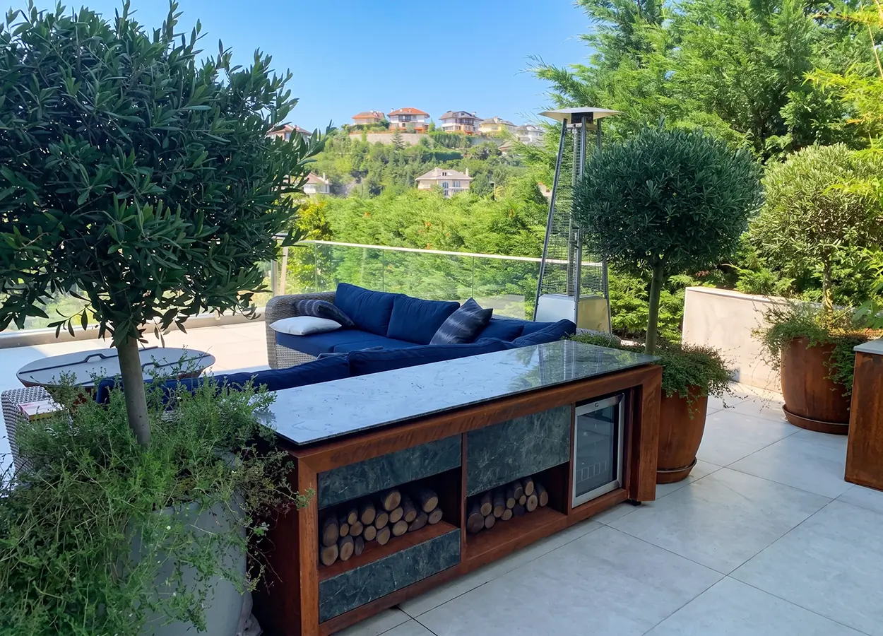 Betula | Acarkent |MK| Evi