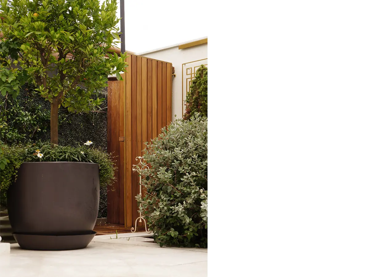 Betula | Camlıca |NMK| House