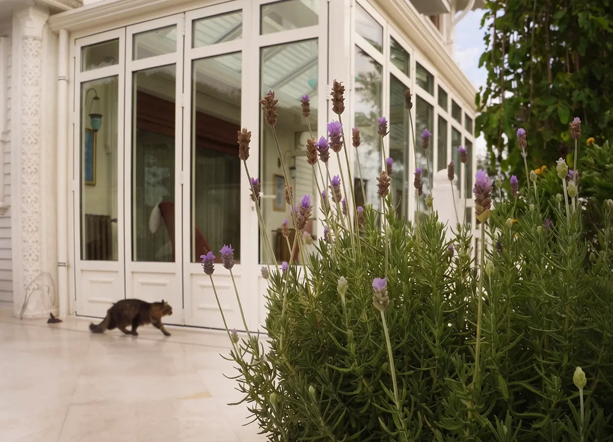 Betula | Camlıca |NMK| House