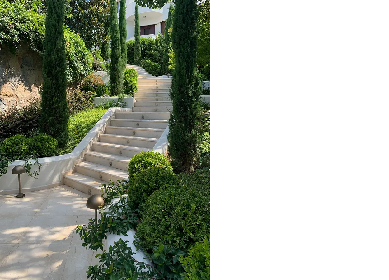 Betula | Camlıca |NMK| House