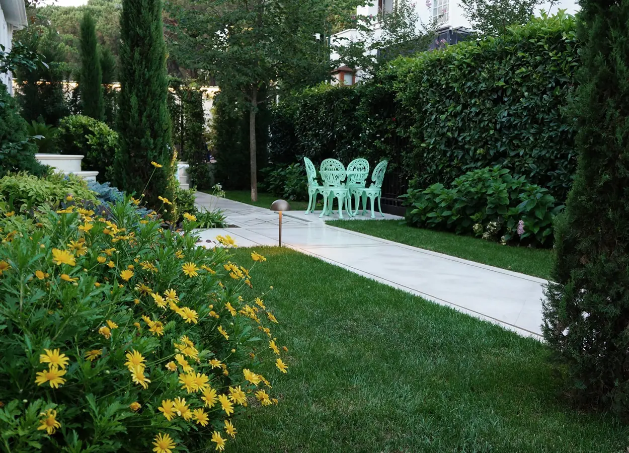 Betula | Camlıca |NMK| House