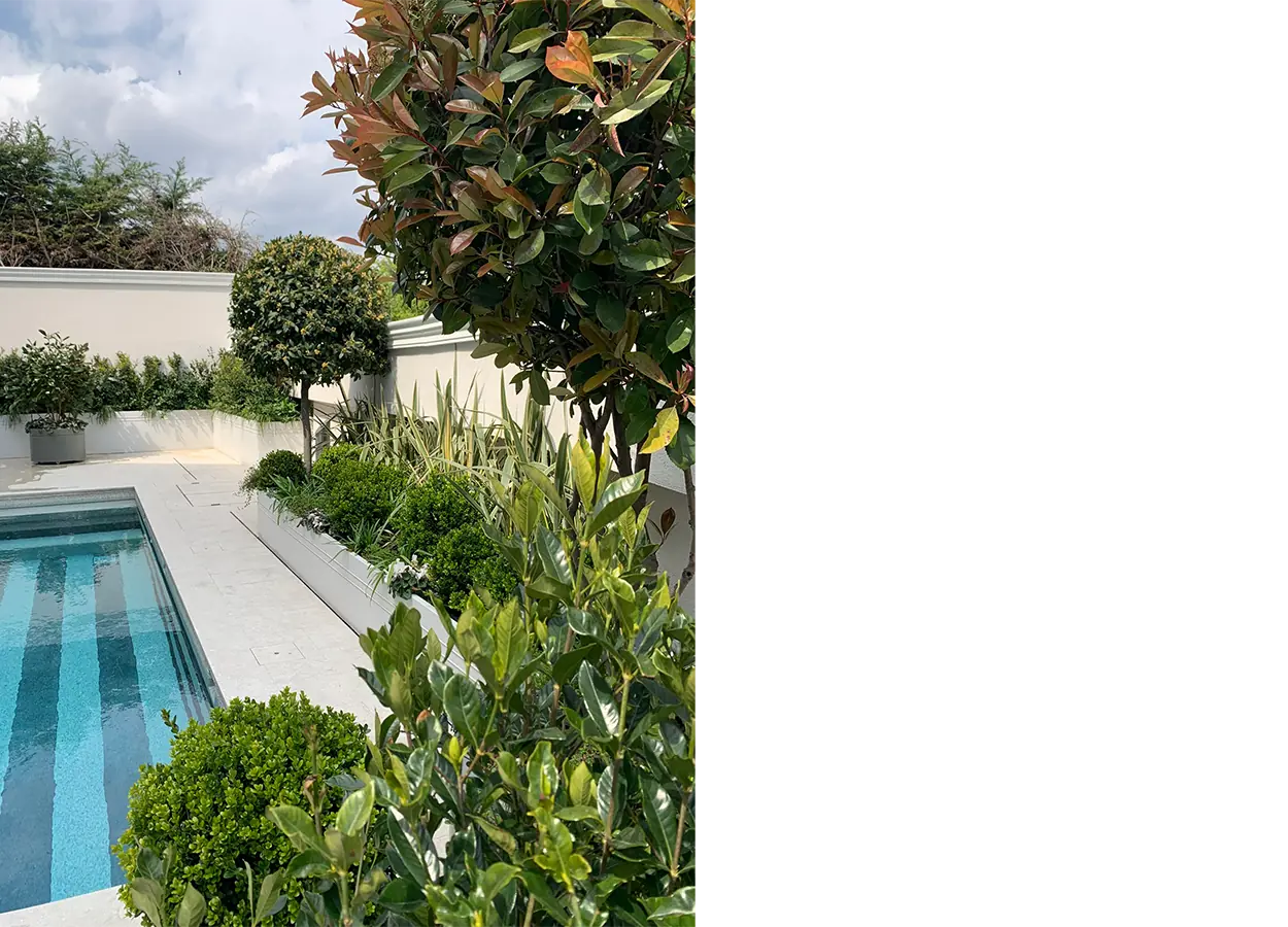 Betula | Sümer Evleri |TA| Evi