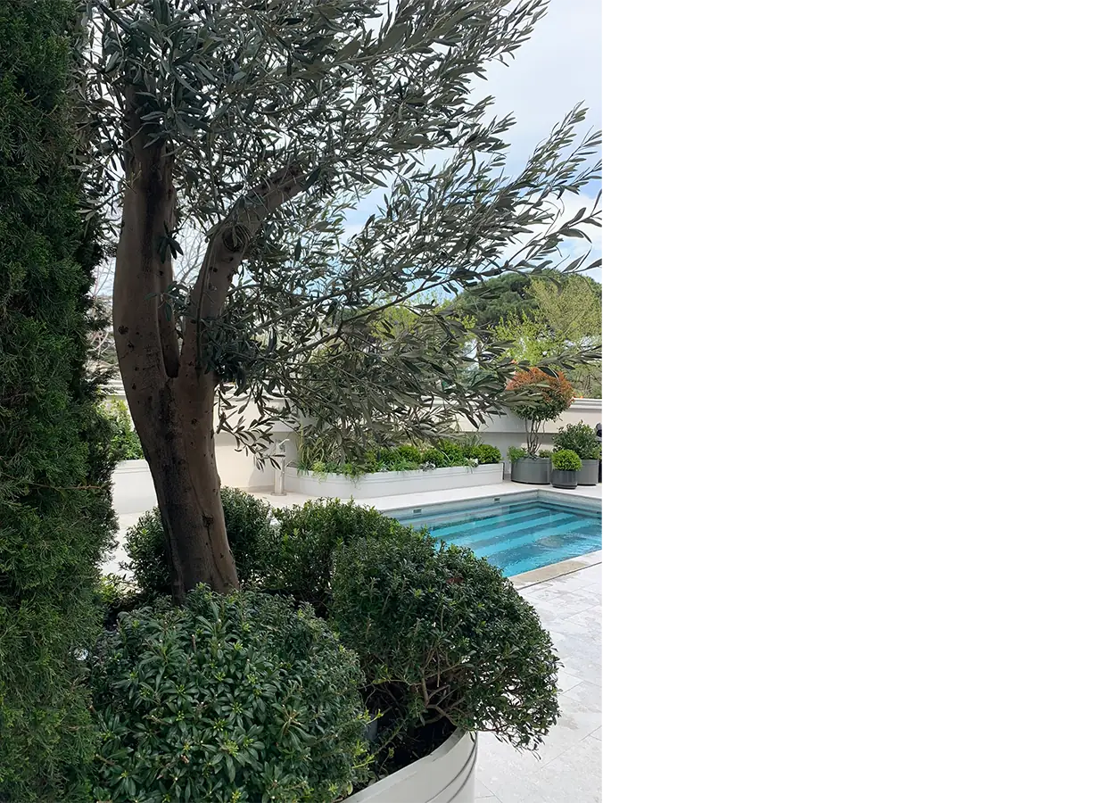 Betula | Sümer Evleri |TA| Evi