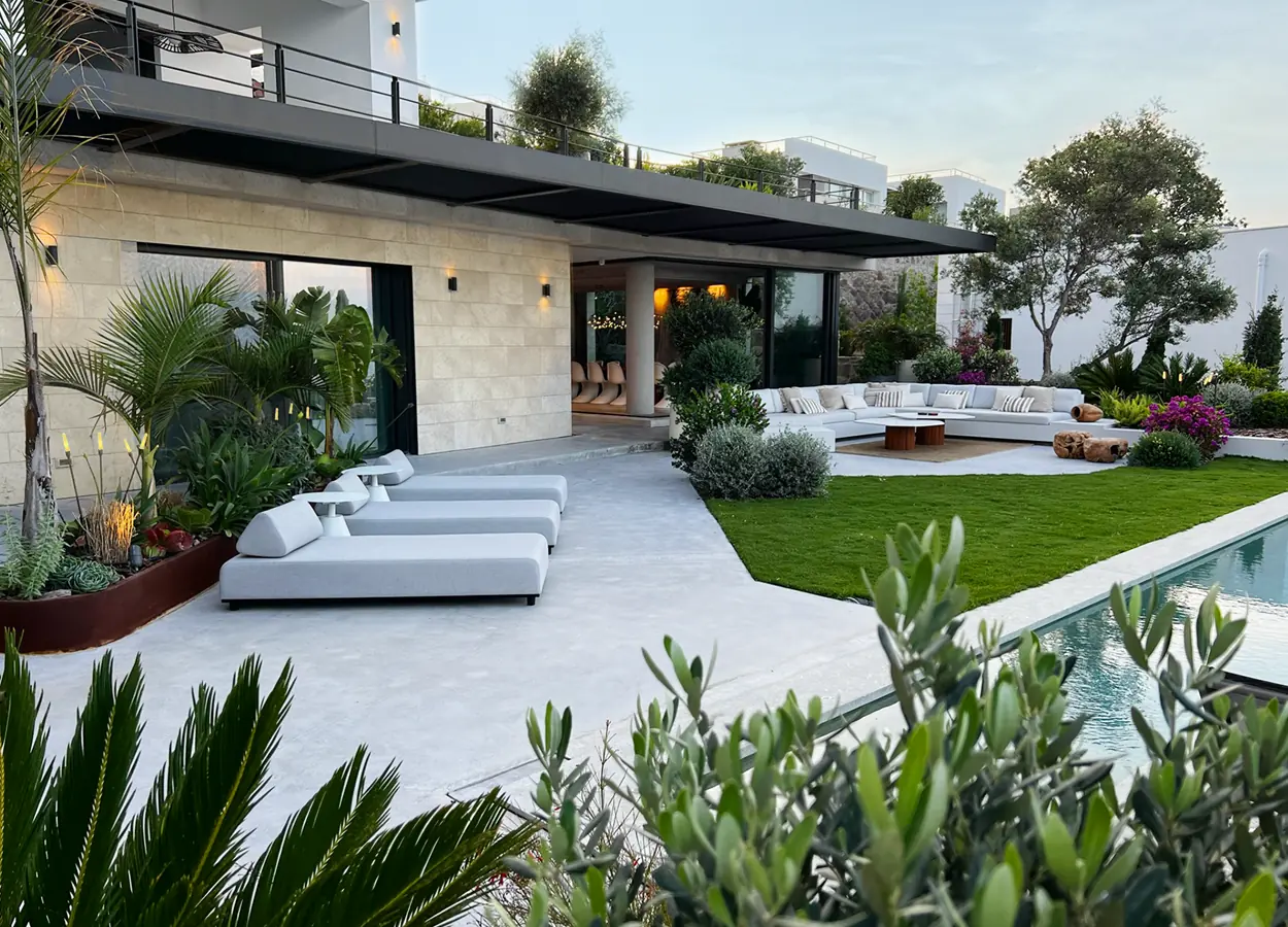 Betula | Olive Garden  |SAV| Evi