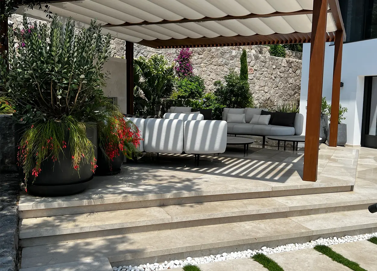 Betula | Olive Garden  |SAV| Evi