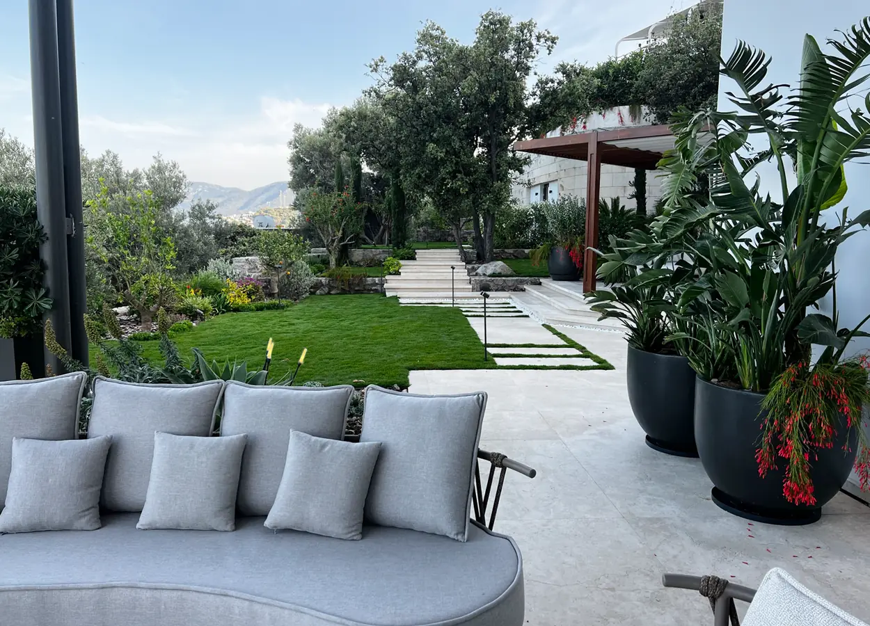 Betula | Olive Garden  |SAV| Evi