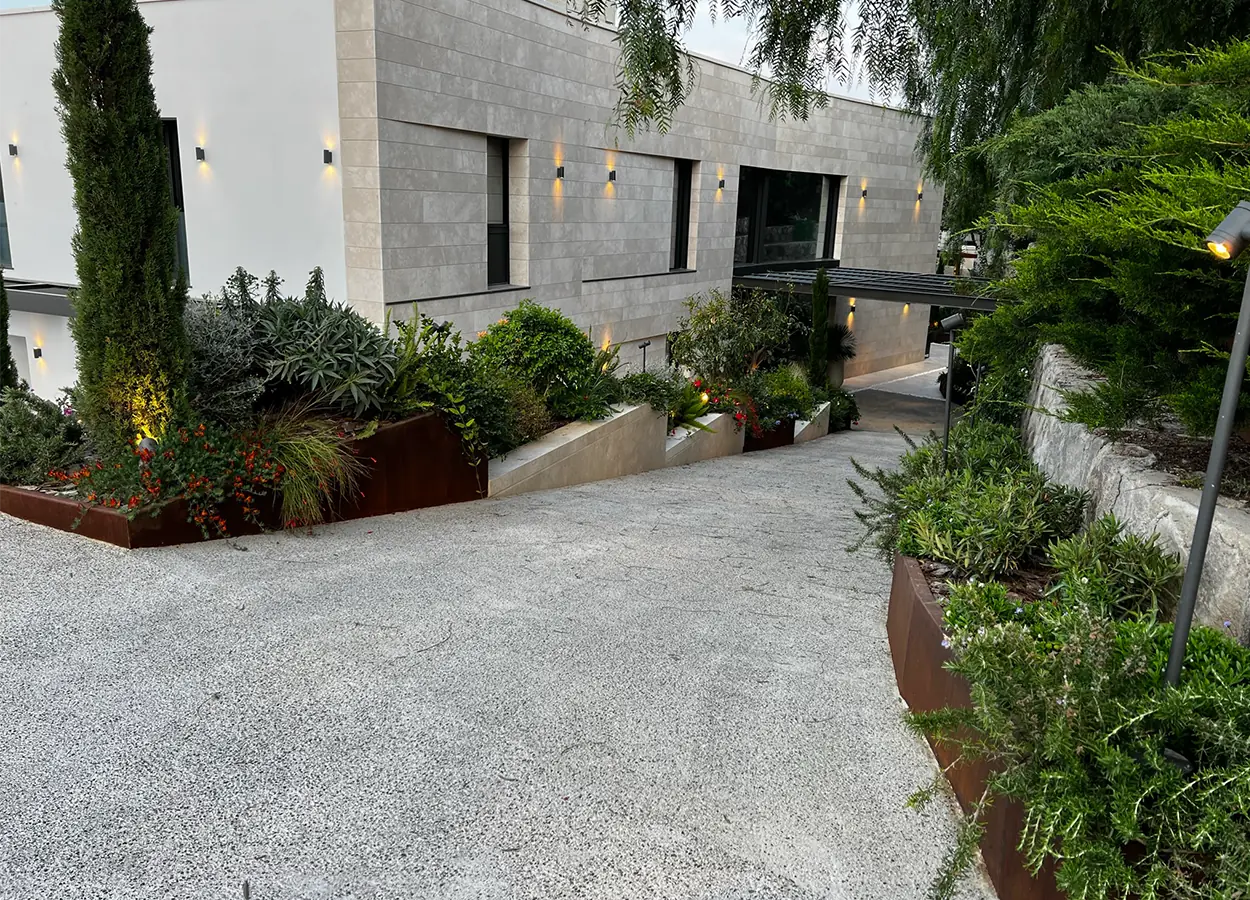 Betula | Olive Garden  |SAV| Evi