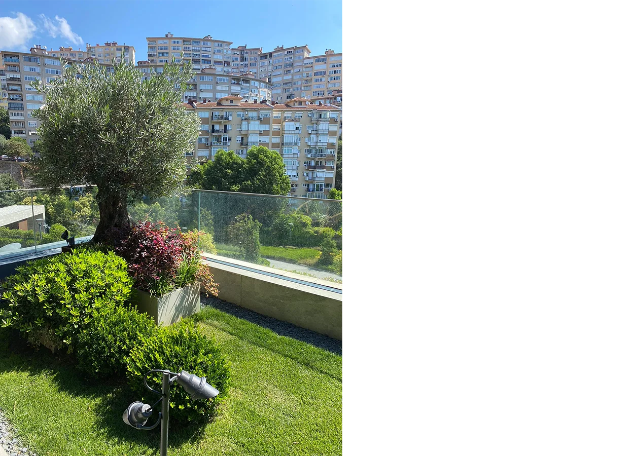 Betula | Yoo Istanbul |SS| House