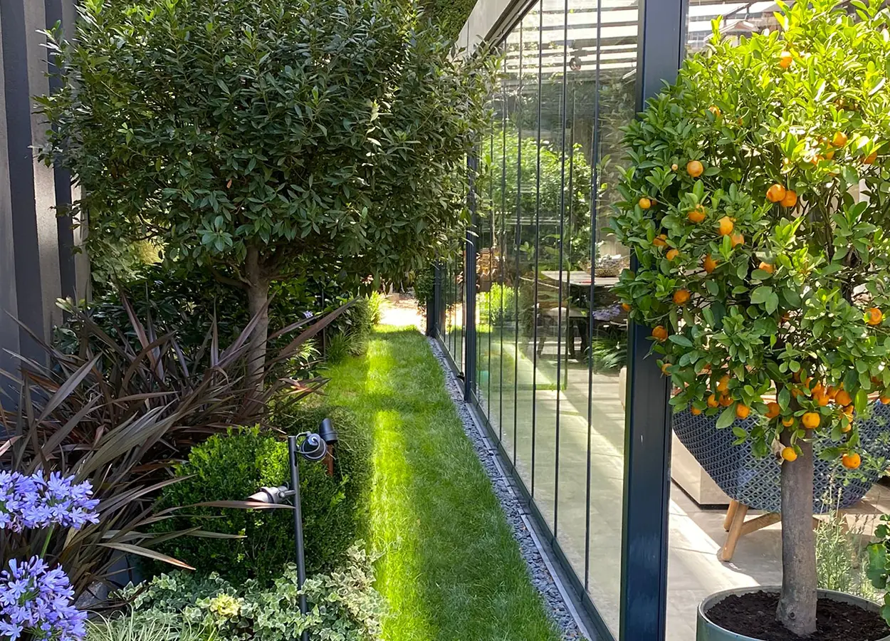 Betula | Yoo İstanbul |SS| Evi