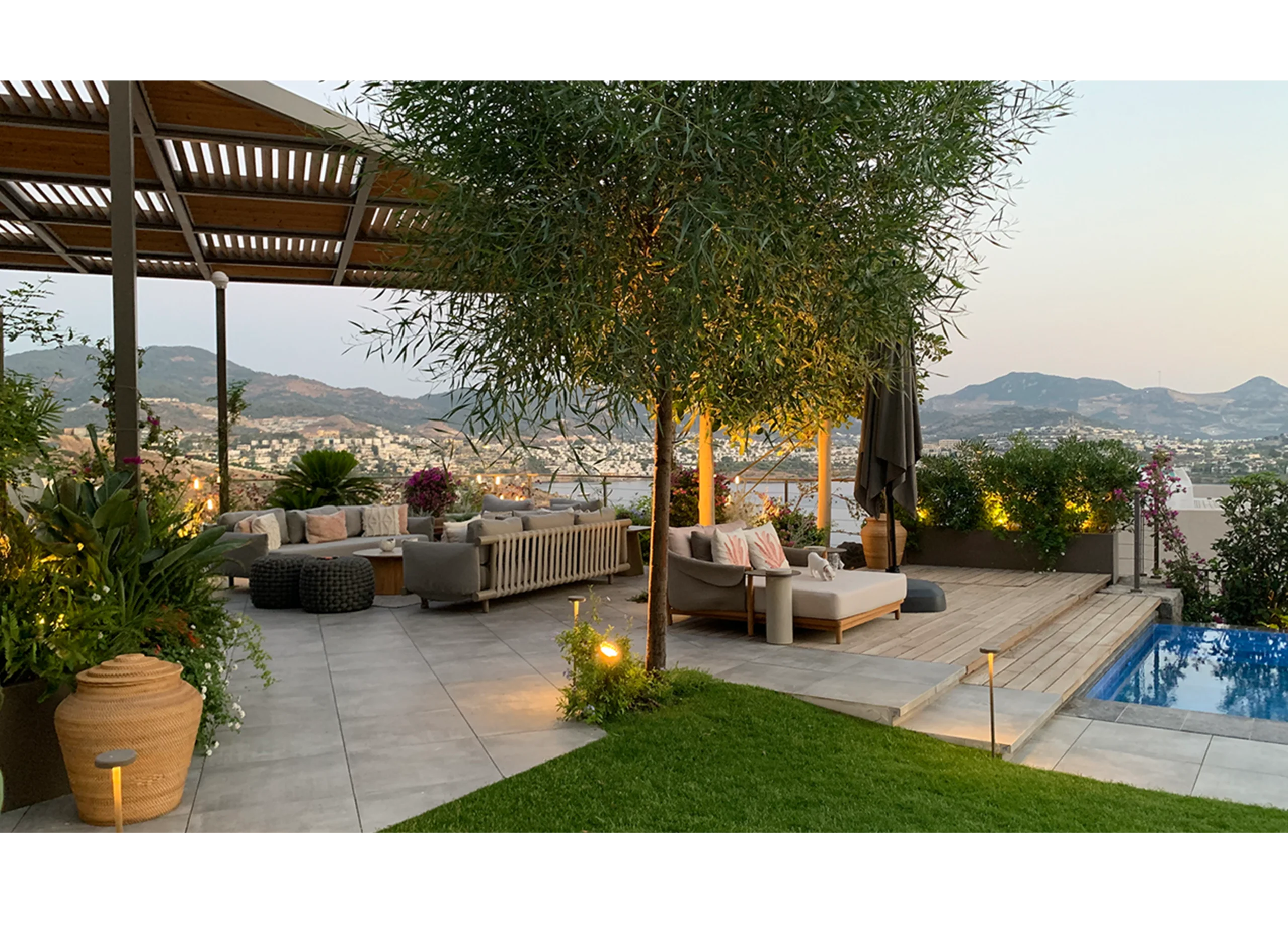 Betula | Home