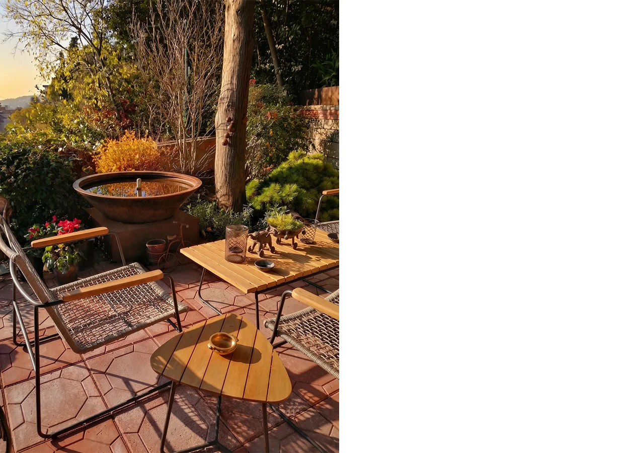 Betula | Asiyan |ASS| House