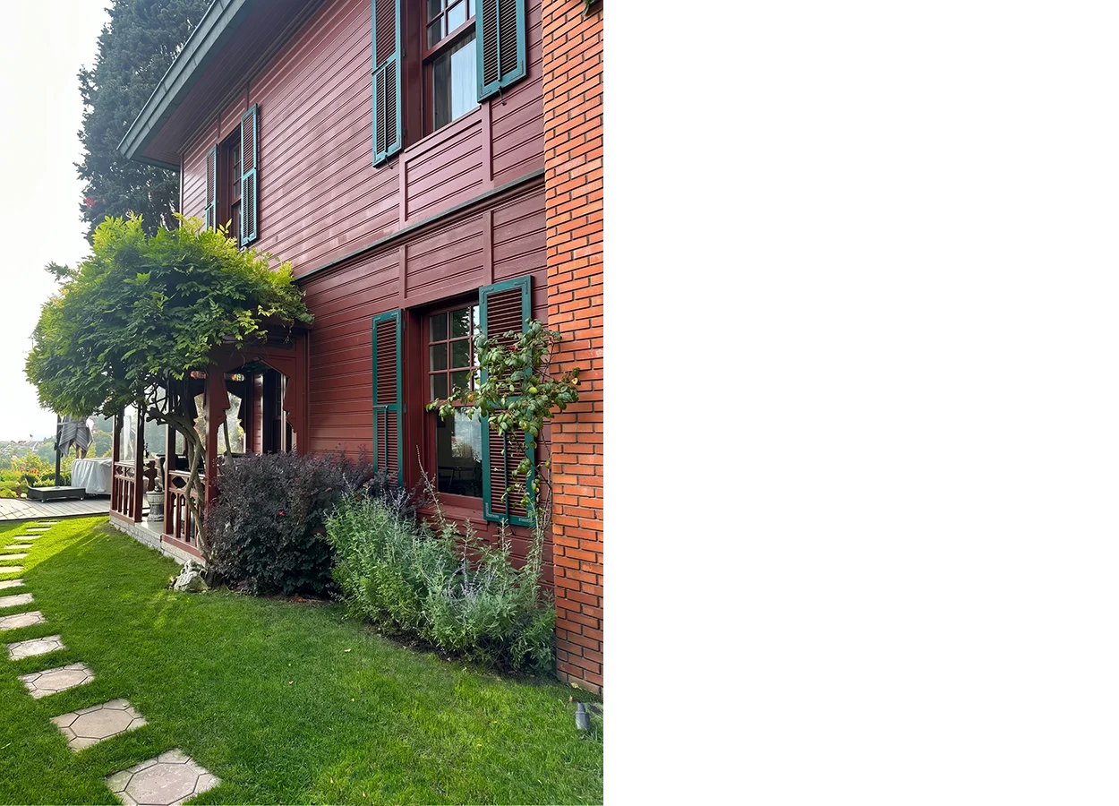 Betula | Asiyan |ASS| House