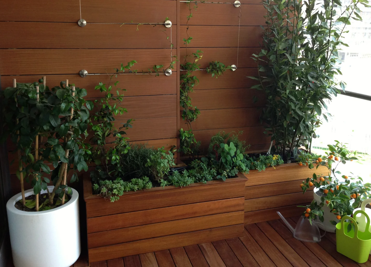 Betula | Akasya Acibadem |AH| Terrace