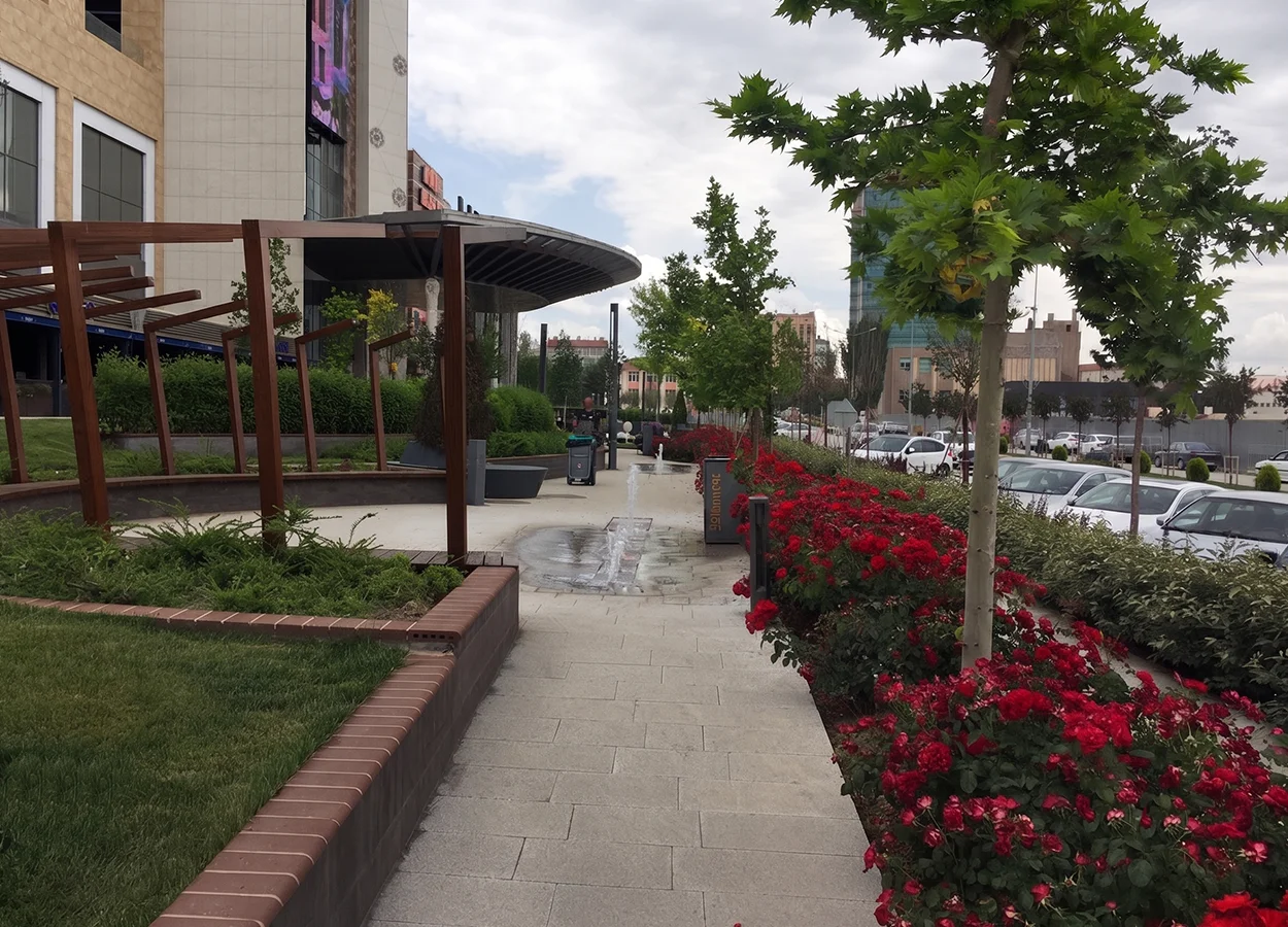 Betula | AHL Park AVM