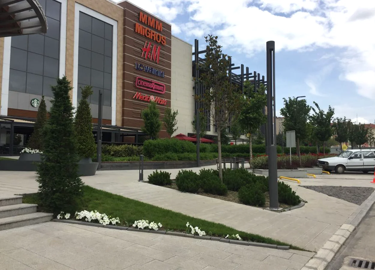 Betula | AHL Park AVM