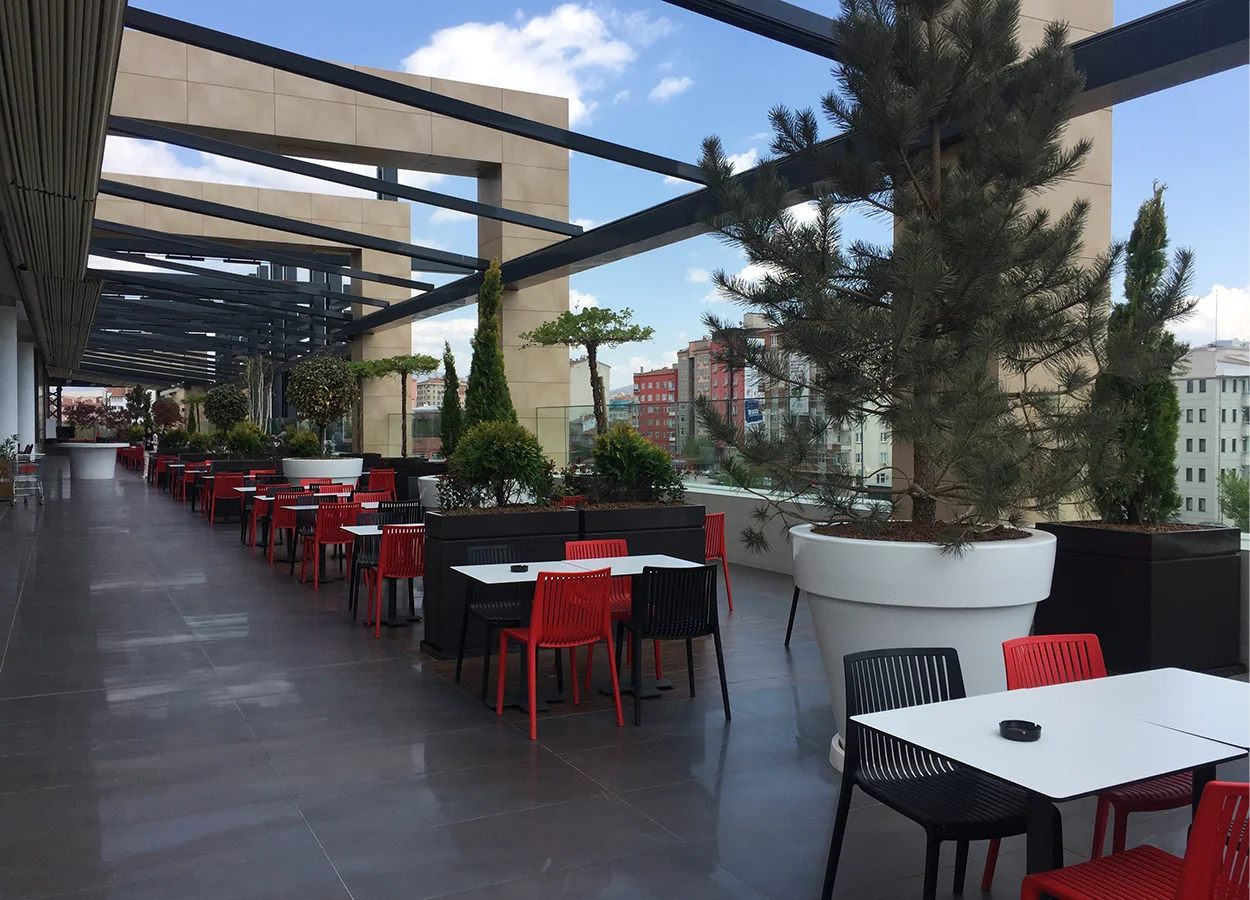 Betula | AHL Park AVM