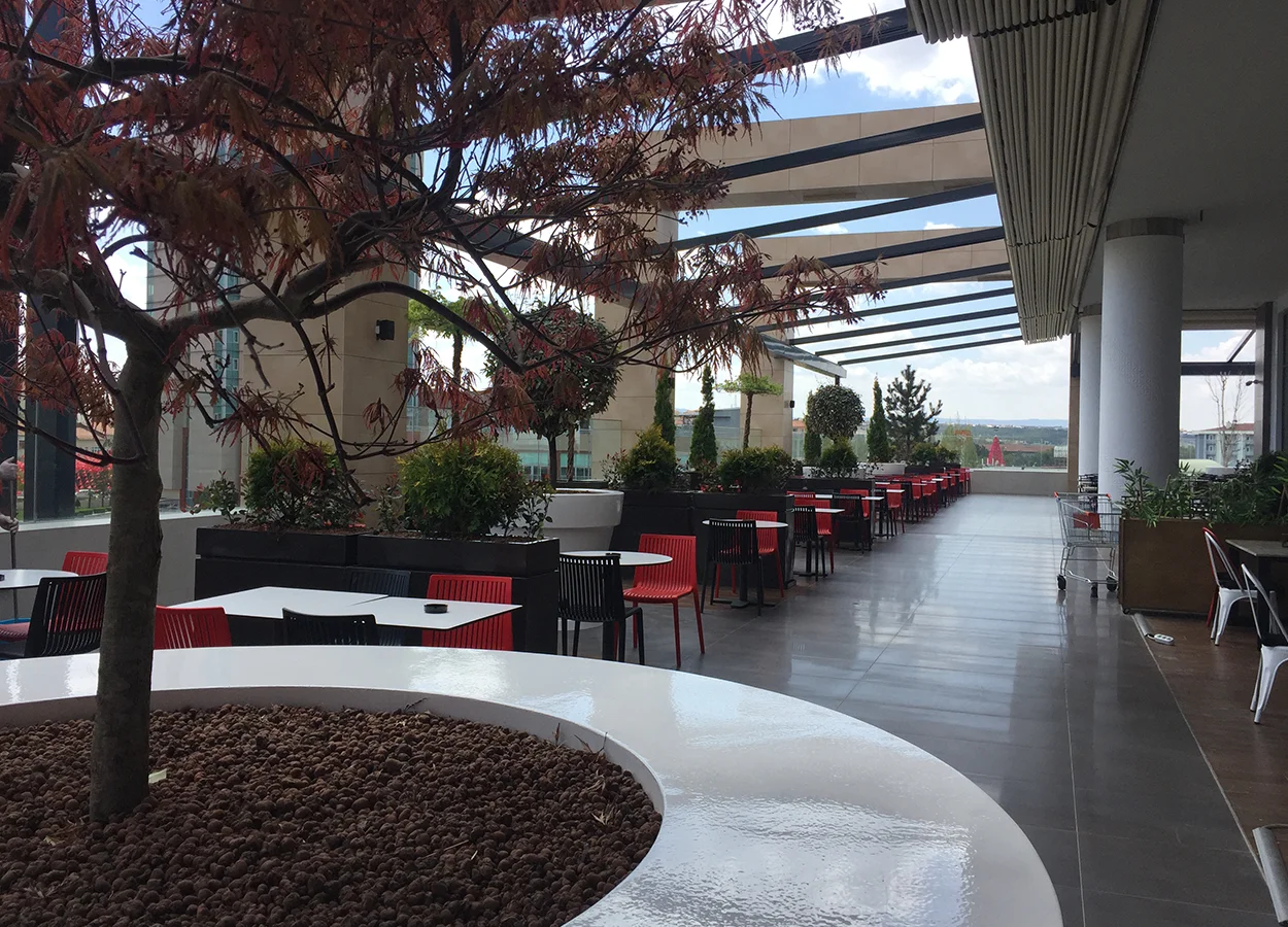 Betula | AHL Park AVM