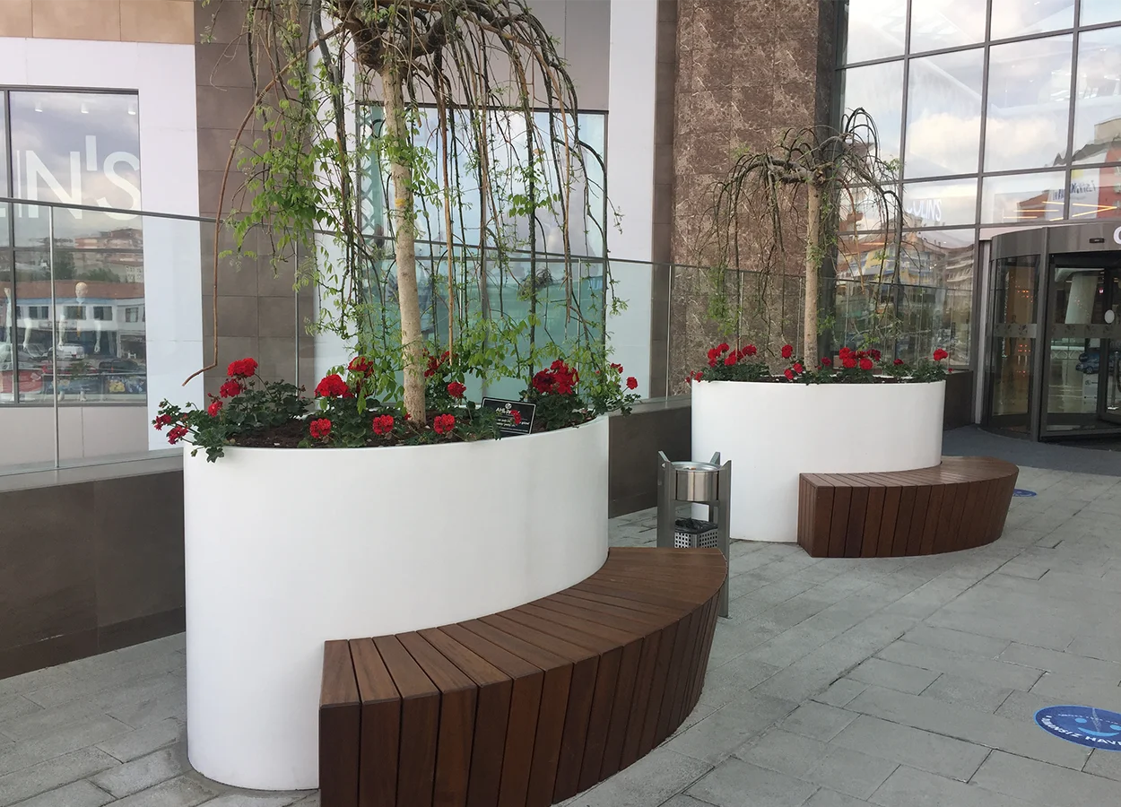 Betula | AHL Park AVM