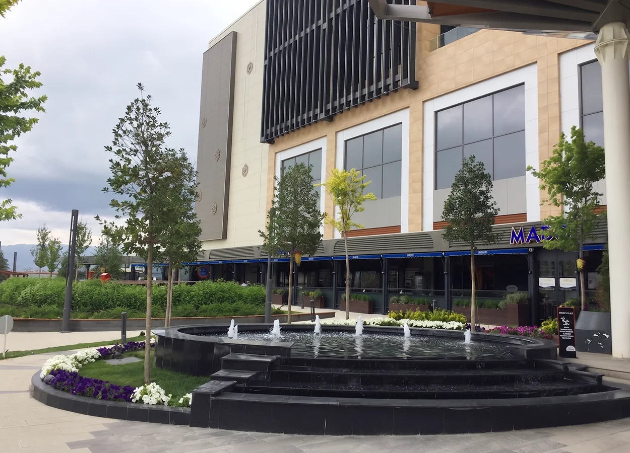 Betula | AHL Park AVM