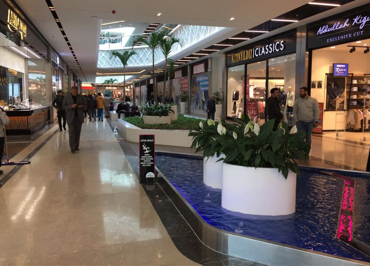 Betula | AHL Park AVM