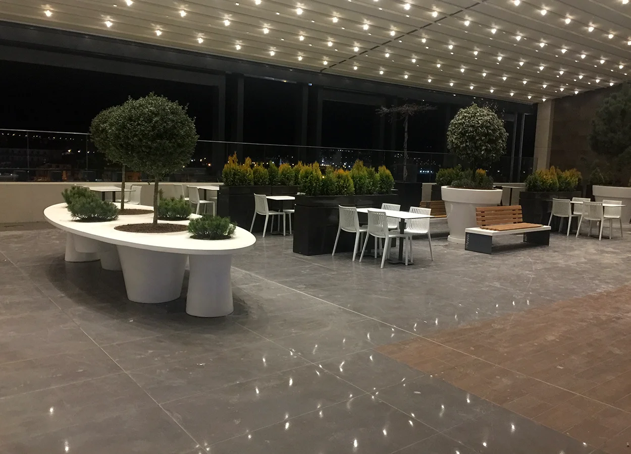 Betula | AHL Park AVM