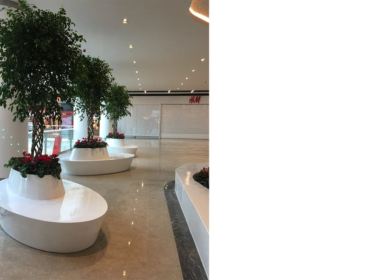 Betula | AHL Park AVM