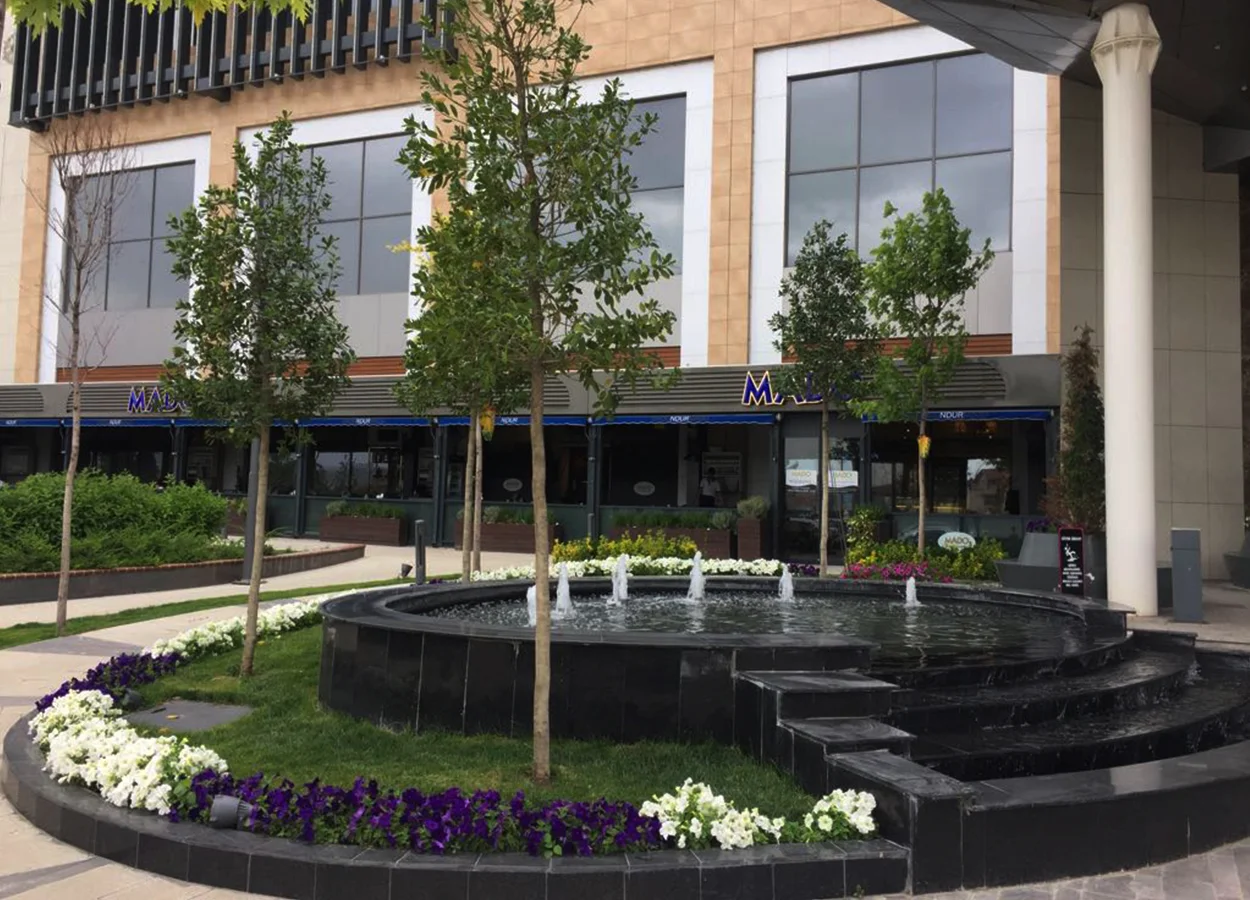 Betula | AHL Park AVM