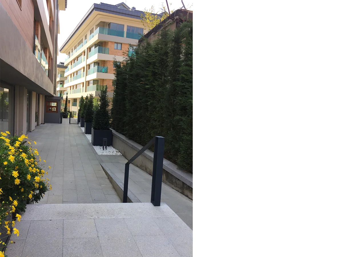 Betula | Artı Tarabya Orman