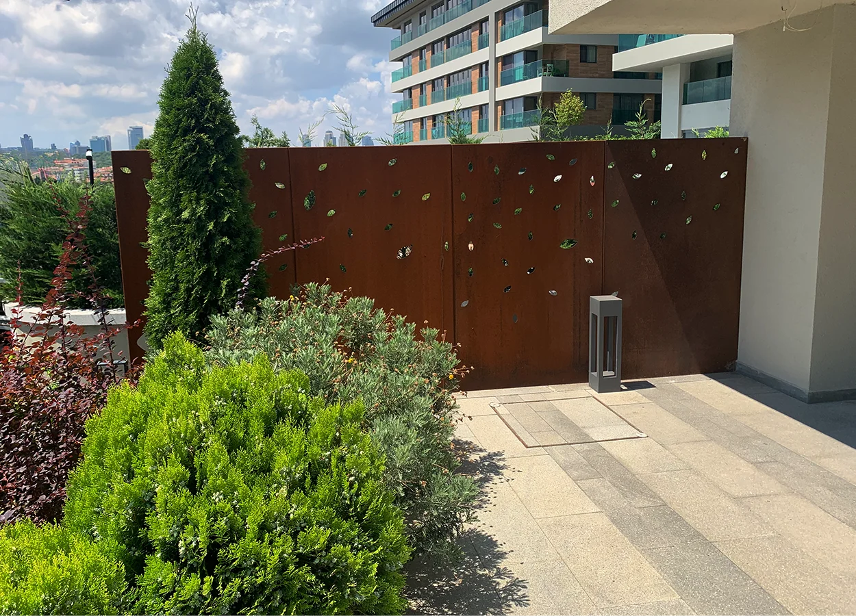 Betula | Artı Tarabya Orman